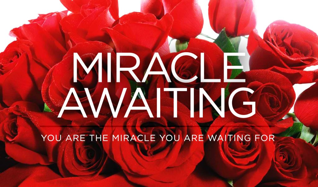 Miracle Awaiting